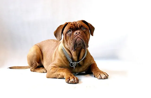 opie